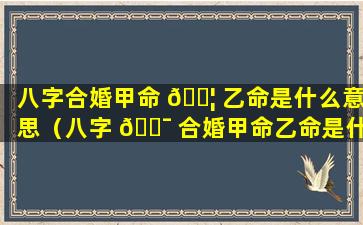 八字合婚甲命 🐦 乙命是什么意思（八字 🐯 合婚甲命乙命是什么意思呀）